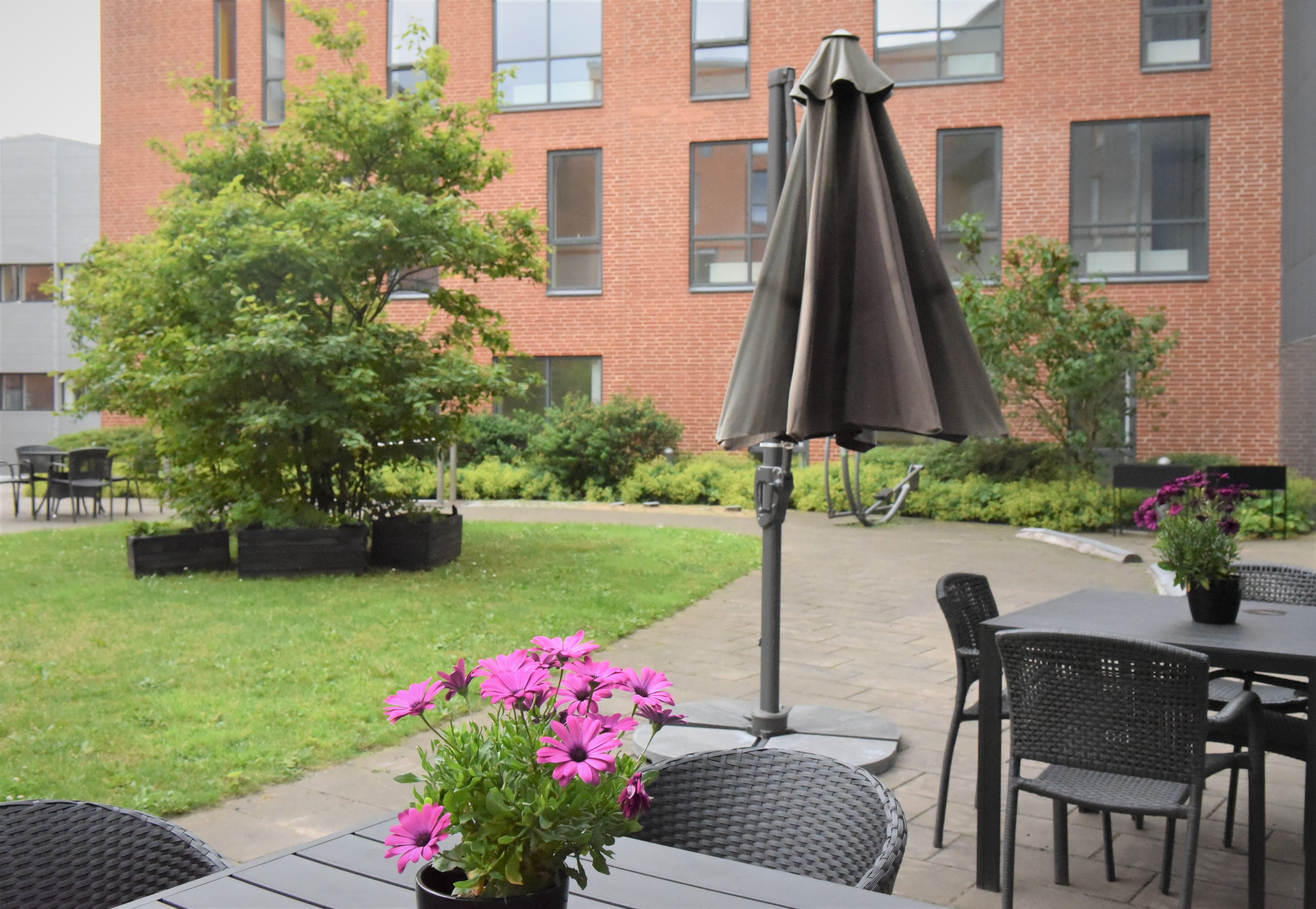 Udeområdet på Thors Bakke