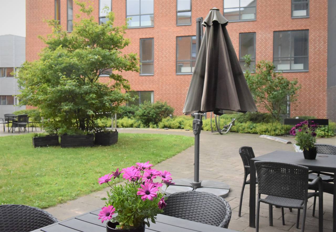 Udeområdet på Thors Bakke