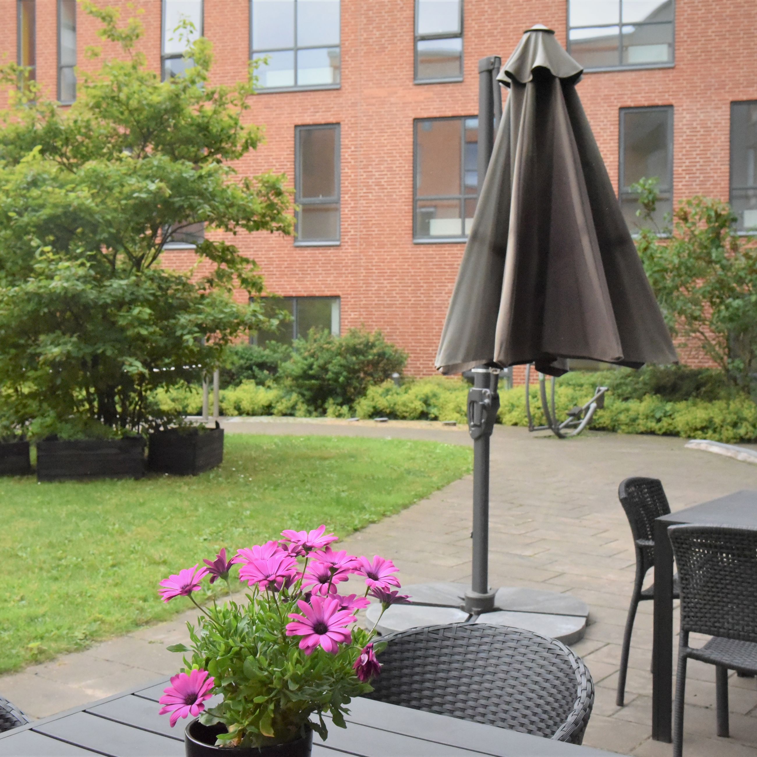 Udeområdet på Thors Bakke